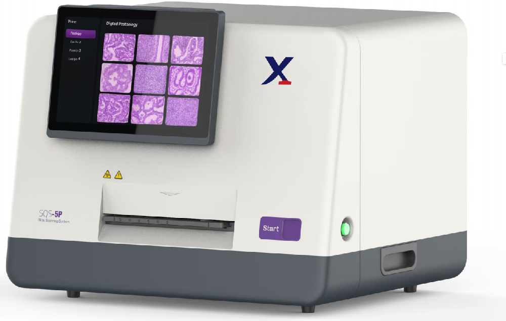 5-section Automatic Scanning